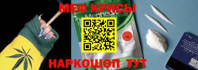 кокс Гатчина
