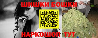 кокс Гатчина