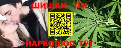 кокс Гатчина
