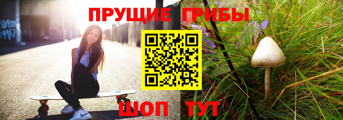 Псилоцибиновые грибы GOLDEN TEACHER  хочу наркоту  Вход с VPN  Мценск  Галлюциногенные грибы GOLDEN TEACHER 